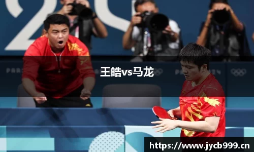 王皓vs马龙