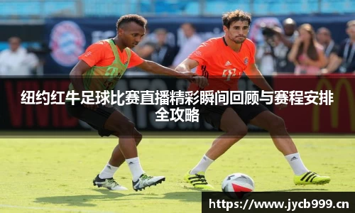 辉达娱乐
