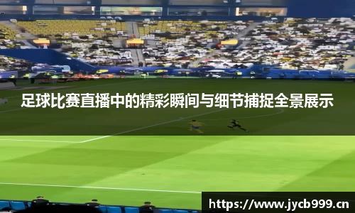 辉达娱乐