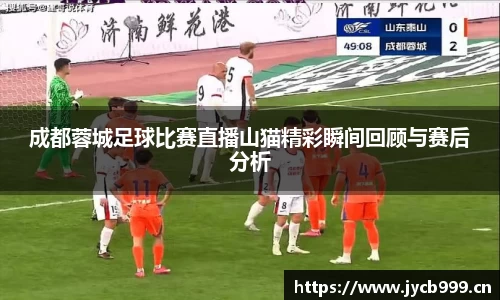 成都蓉城足球比赛直播山猫精彩瞬间回顾与赛后分析