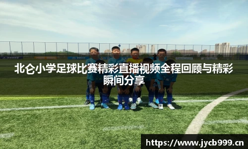 辉达娱乐注册